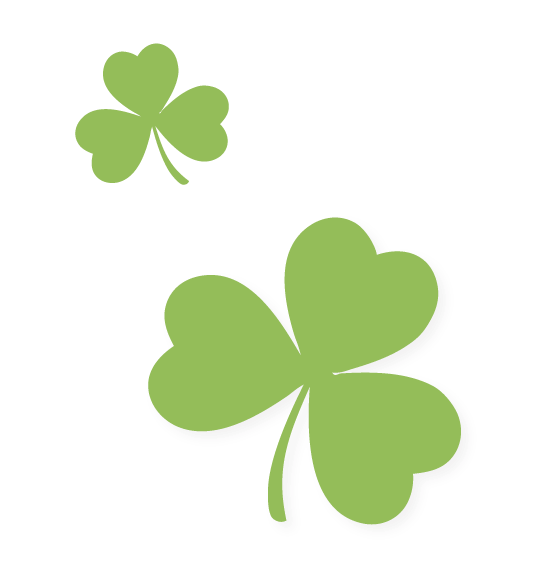 Little Shams Graphic Little Shams Graphic